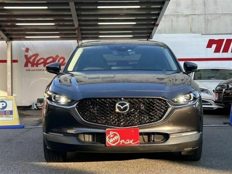 CX-30-1