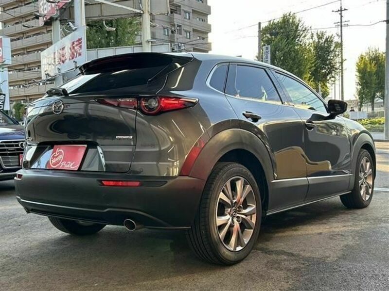 CX-30-3