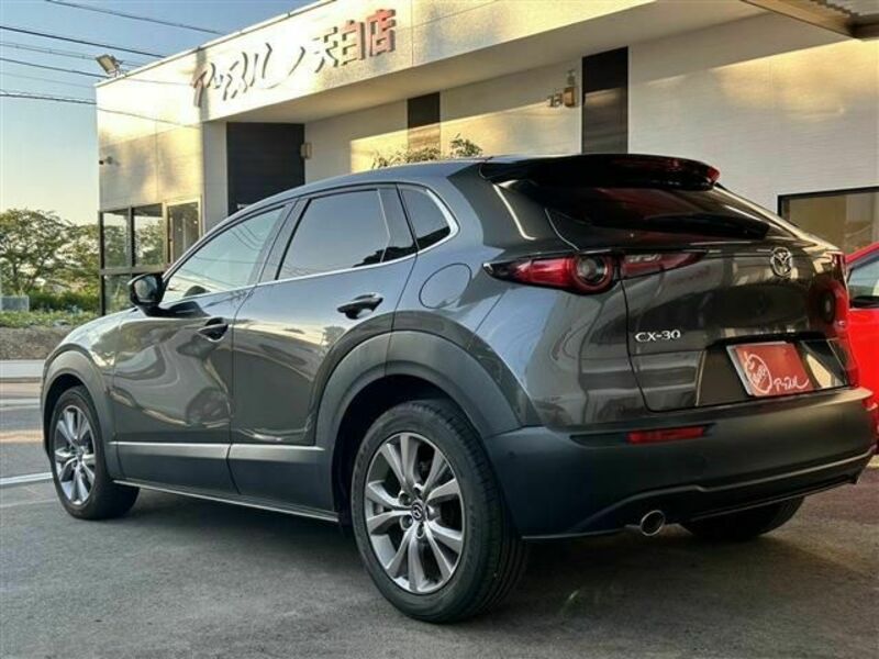 CX-30-4