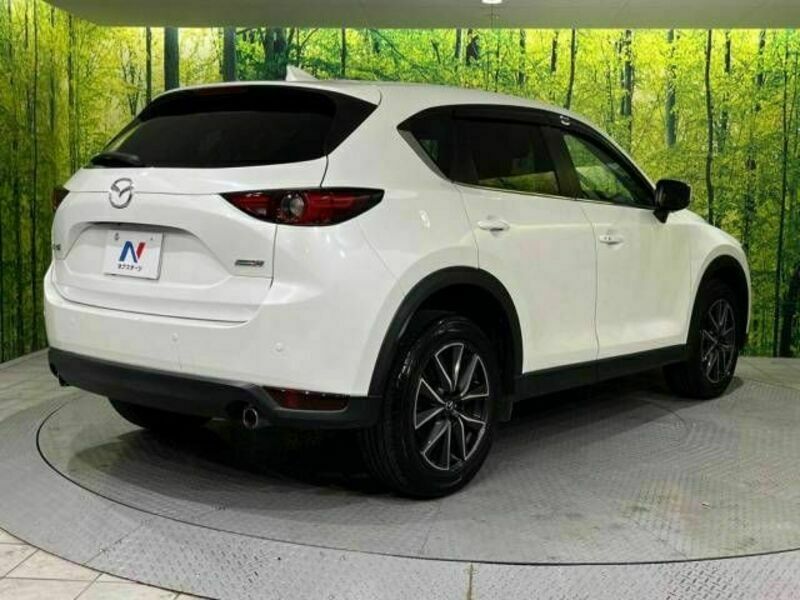 CX-5-17