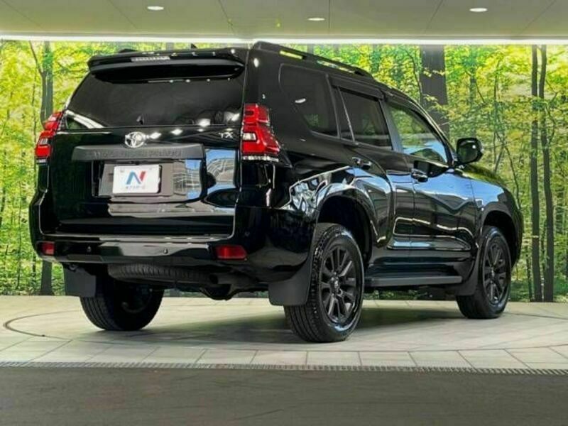 LAND CRUISER PRADO-18