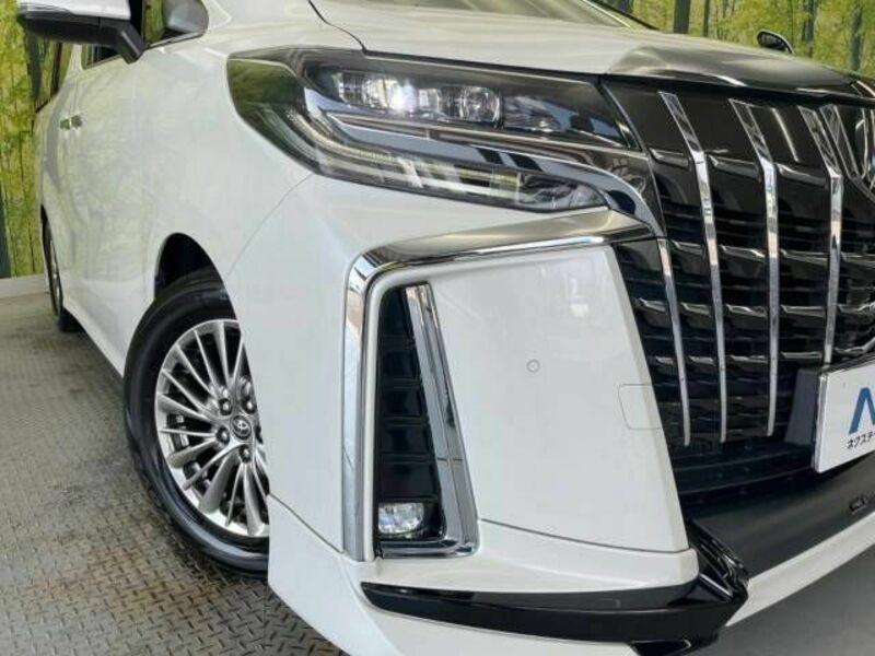 ALPHARD-13