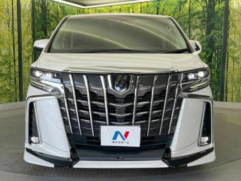 ALPHARD-15