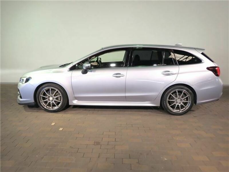 LEVORG-30