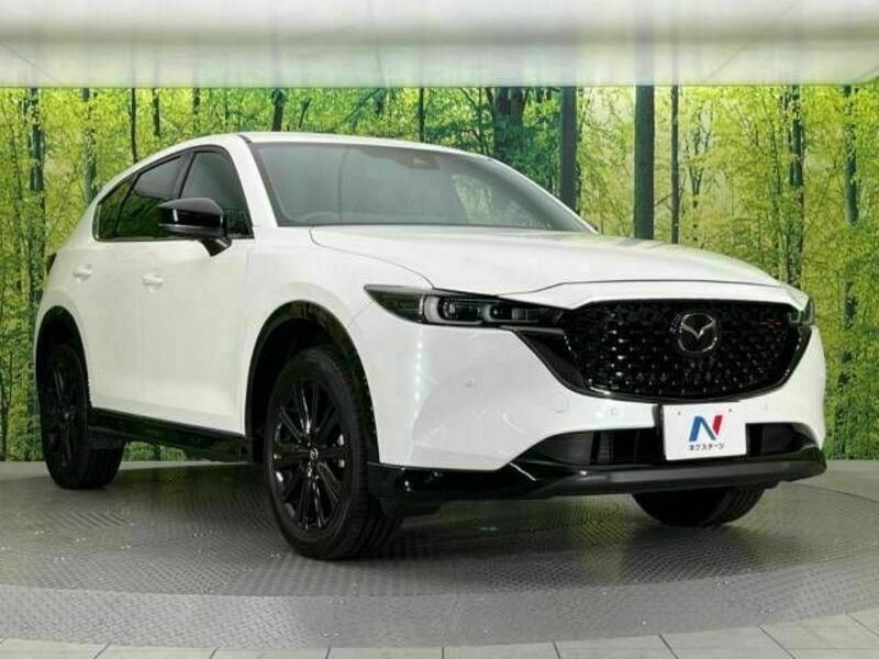 CX-5-16