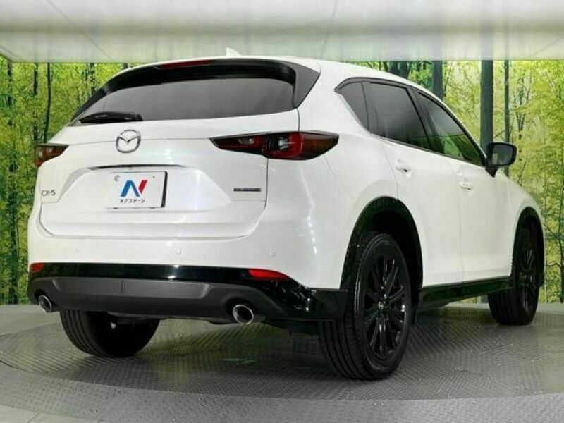 CX-5-17