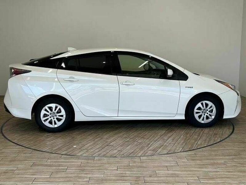 PRIUS-15