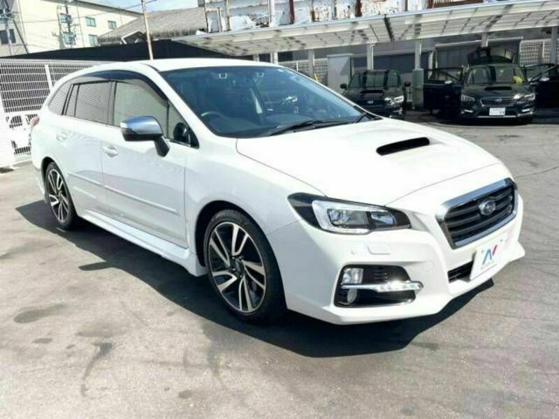 LEVORG-19