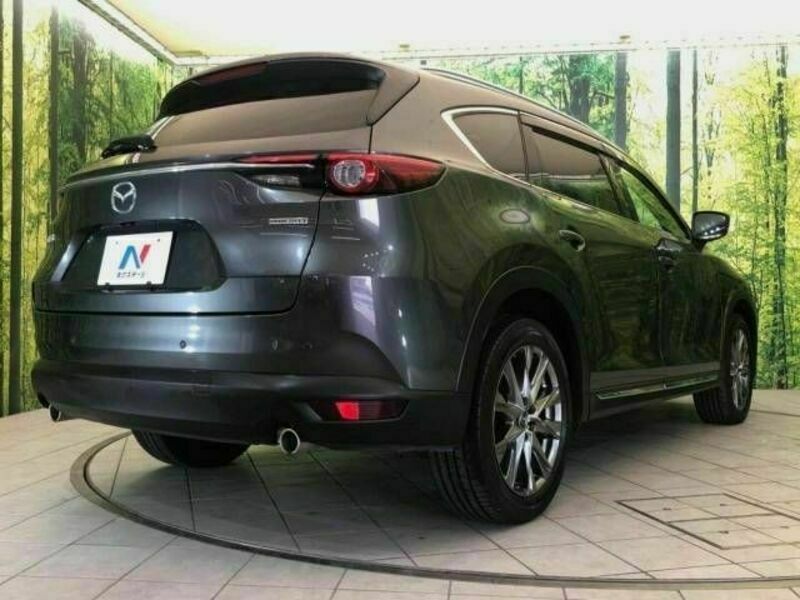 CX-8-18