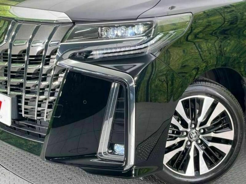 ALPHARD-13