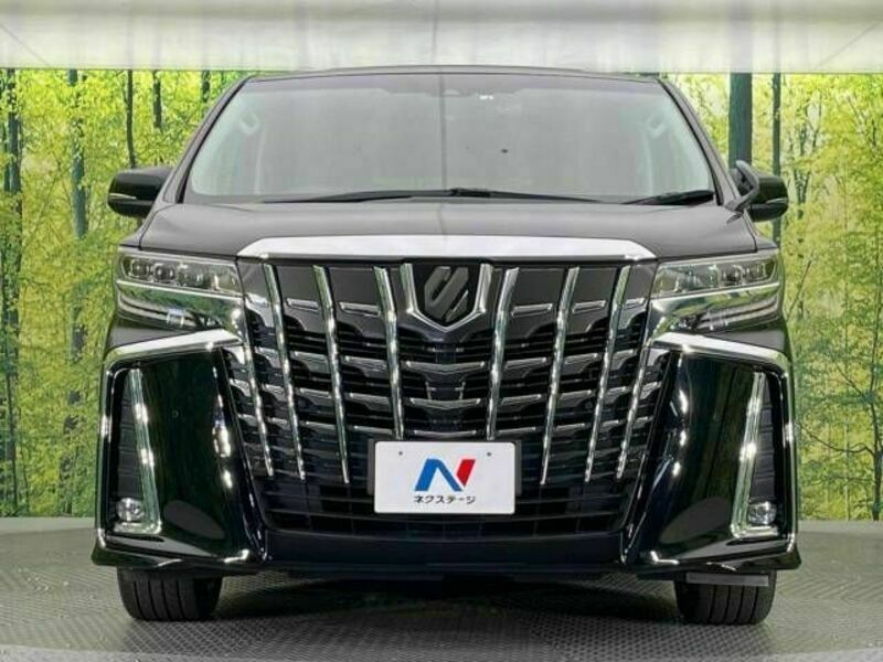 ALPHARD-15