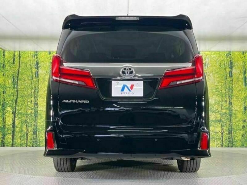 ALPHARD-16