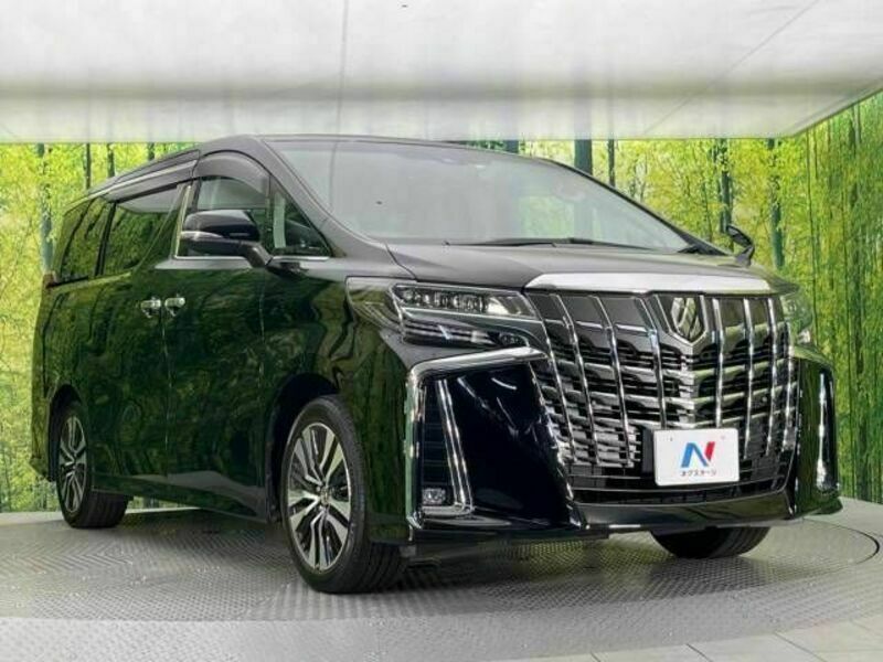 ALPHARD-17