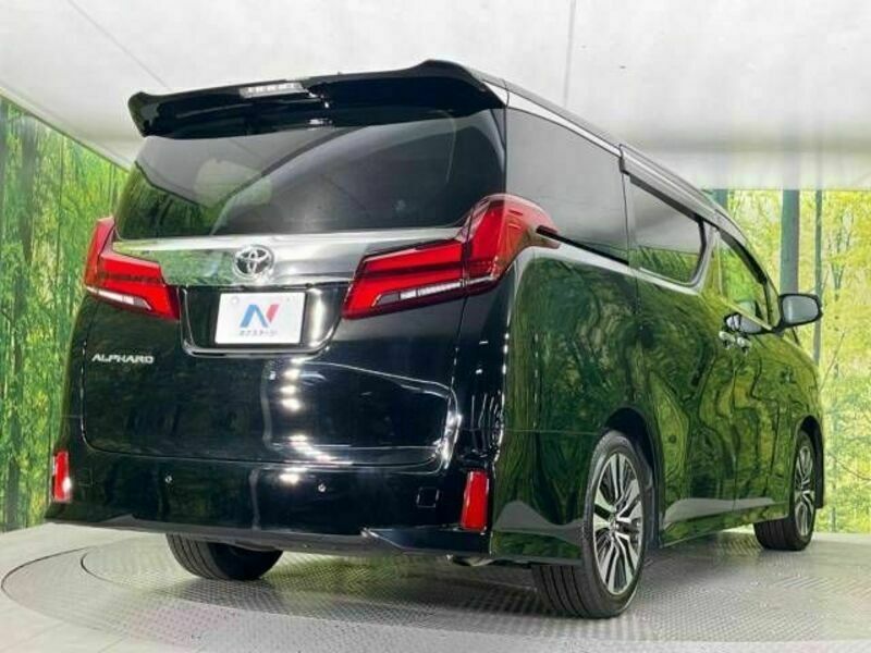 ALPHARD-18