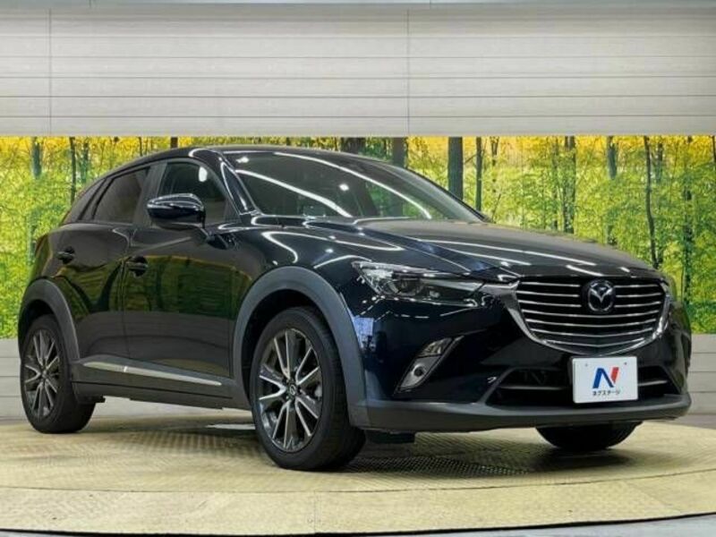 CX-3-16