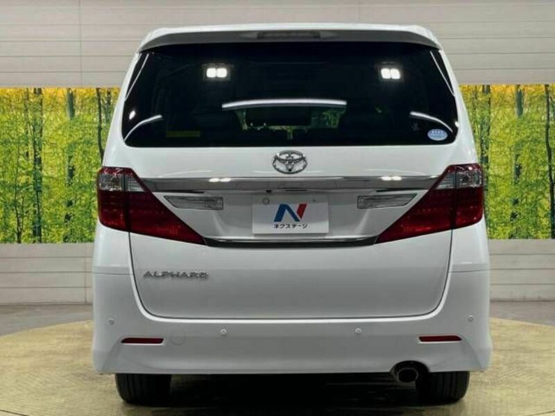 ALPHARD-16