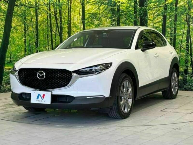 CX-30-17