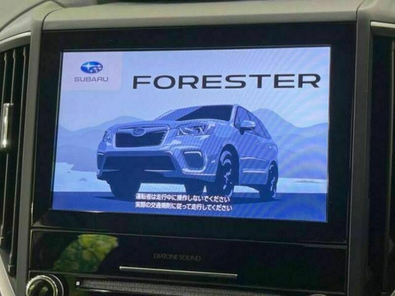 FORESTER-2