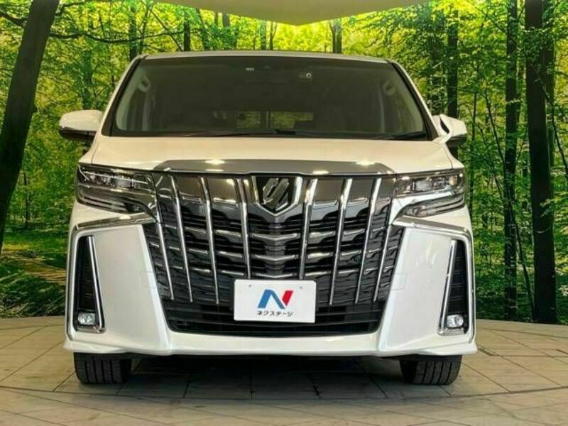 ALPHARD-15