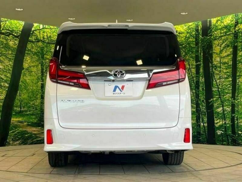 ALPHARD-16