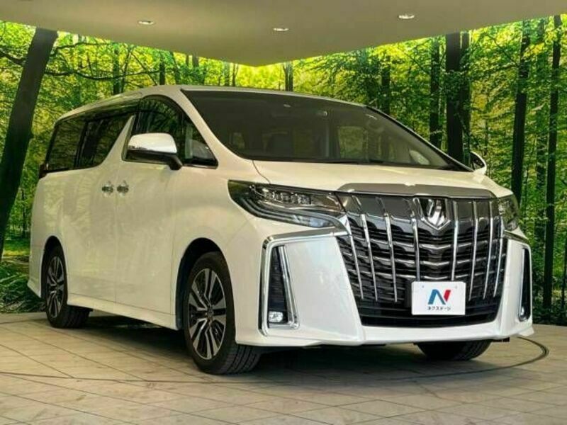 ALPHARD-17