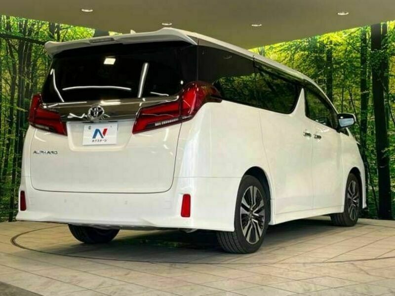 ALPHARD-18