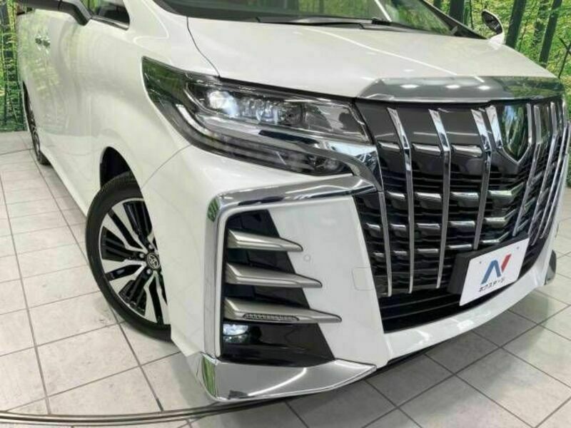 ALPHARD-13