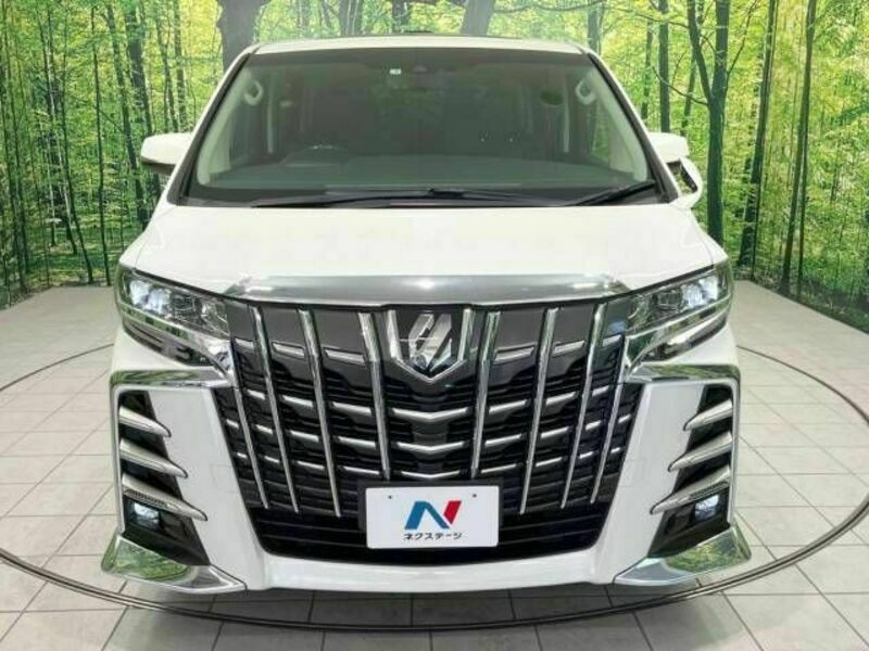 ALPHARD-15