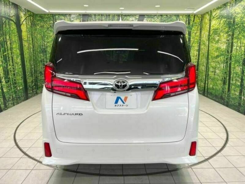 ALPHARD-16