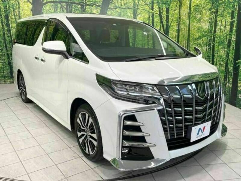 ALPHARD-17