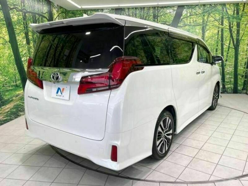 ALPHARD-18