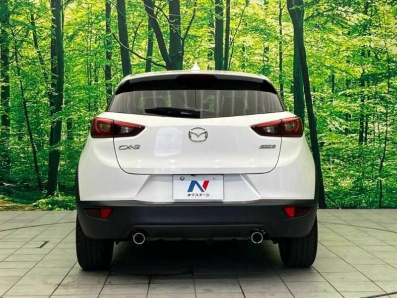 CX-3-15