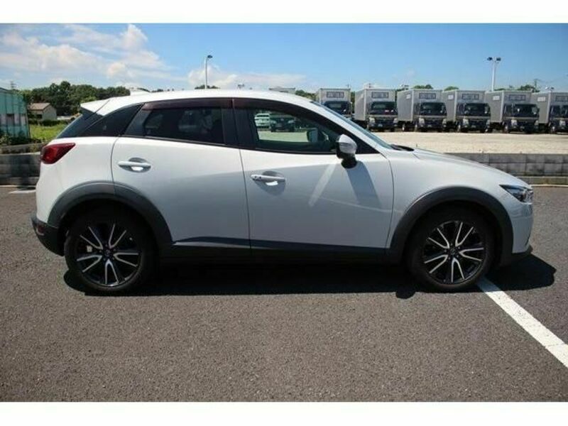 CX-3-10