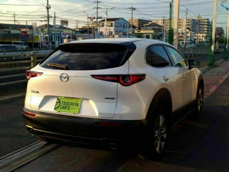 CX-30-1