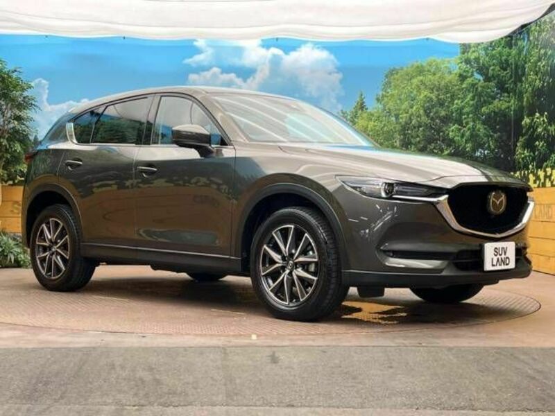 CX-5-16