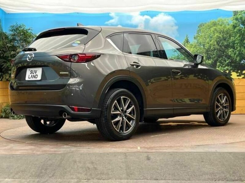 CX-5-17