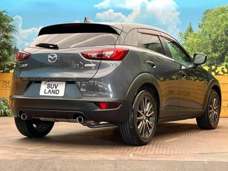 CX-3-17