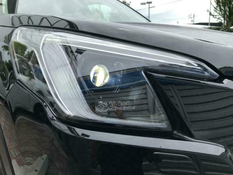 FORESTER
