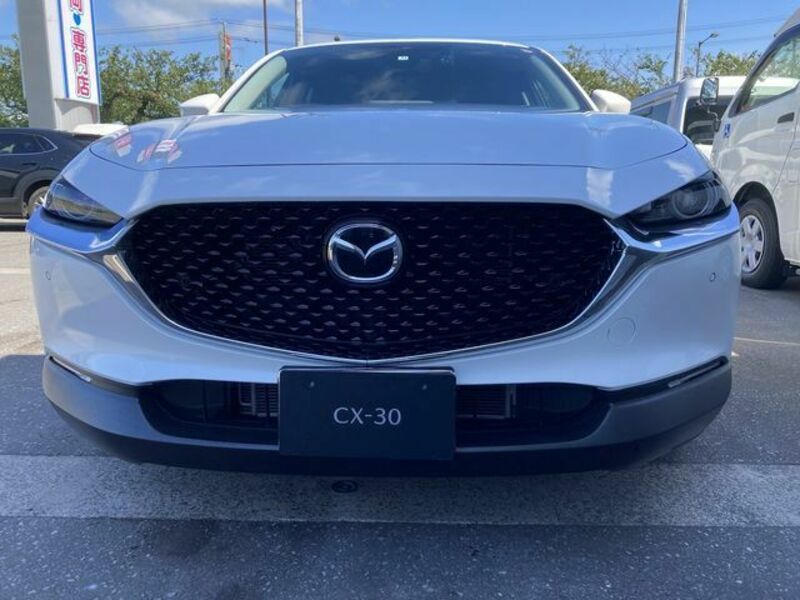 CX-30-1