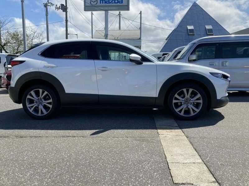 CX-30-3