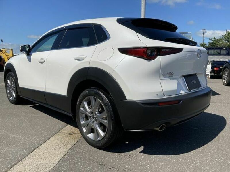 CX-30-6