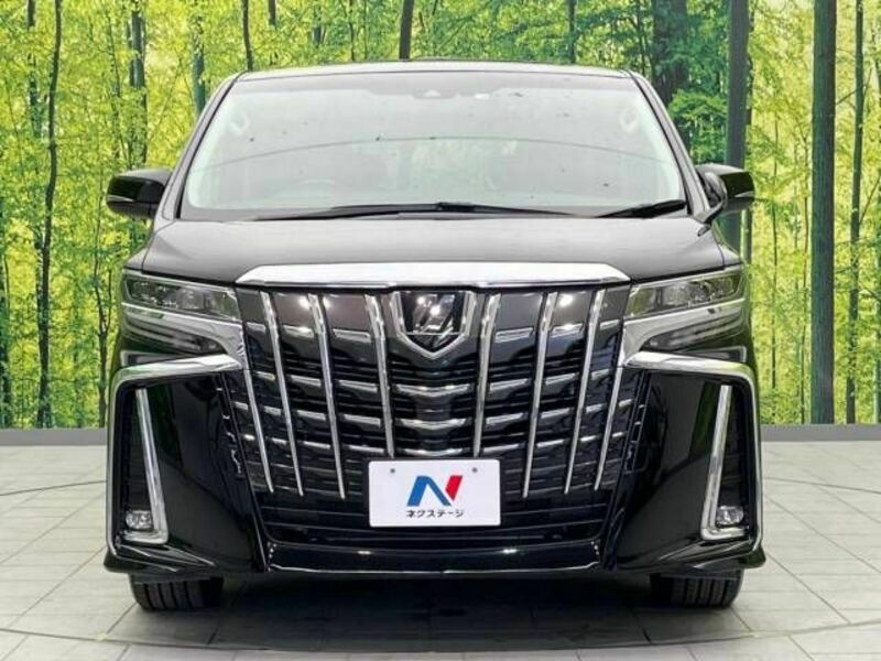 ALPHARD-15