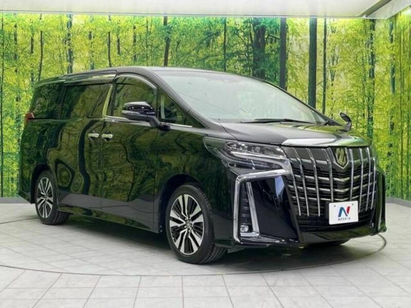 ALPHARD-17