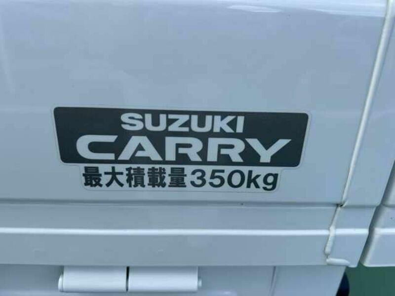 CARRY TRUCK-6