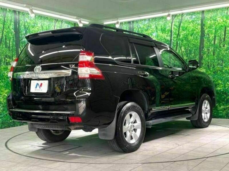 LAND CRUISER PRADO-17