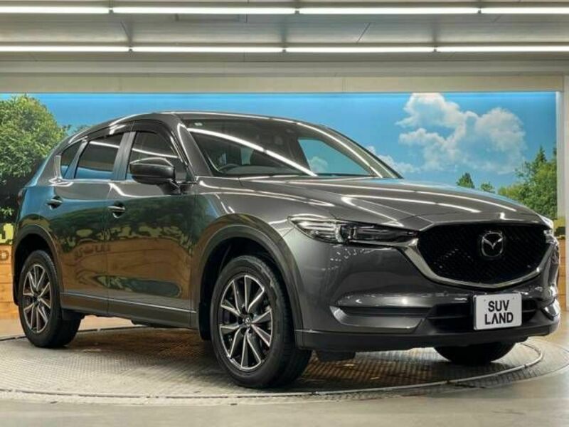 CX-5-16