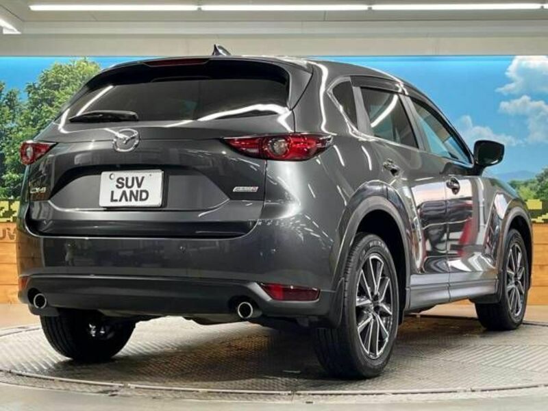 CX-5-17