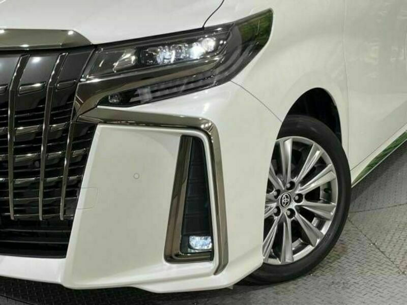 ALPHARD-13