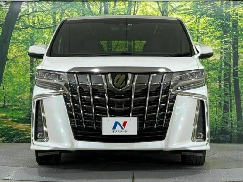 ALPHARD-15