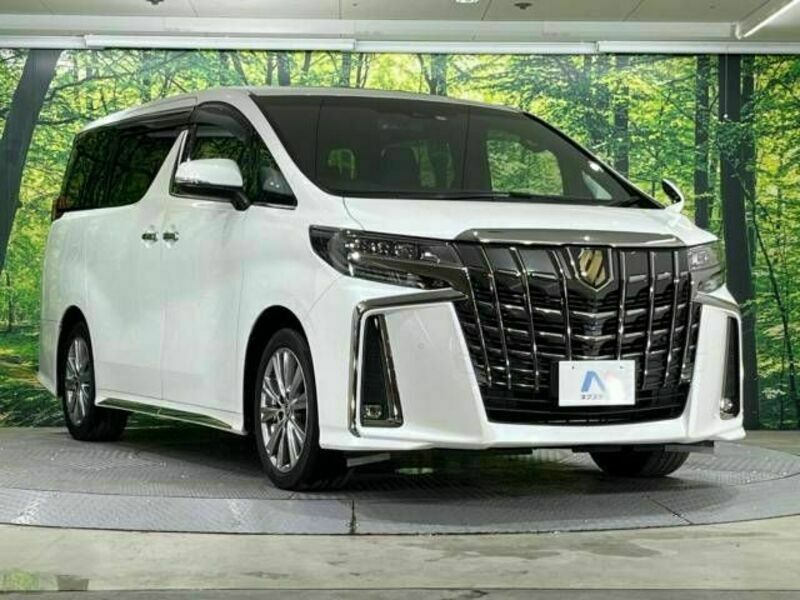 ALPHARD-17